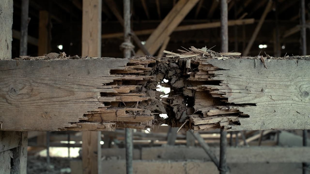 Osteossarcoma vertebral