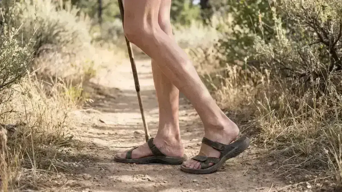 Doença de Charcot-Marie-Tooth Tipo 4